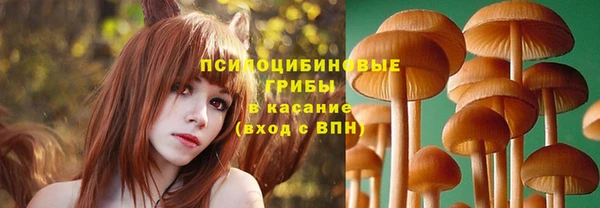 сатива Богородицк