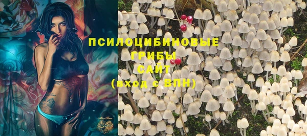 прущие грибы Баксан