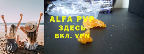 прущие грибы Баксан