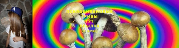 прущие грибы Баксан