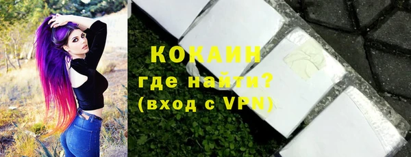 твердый Богородск